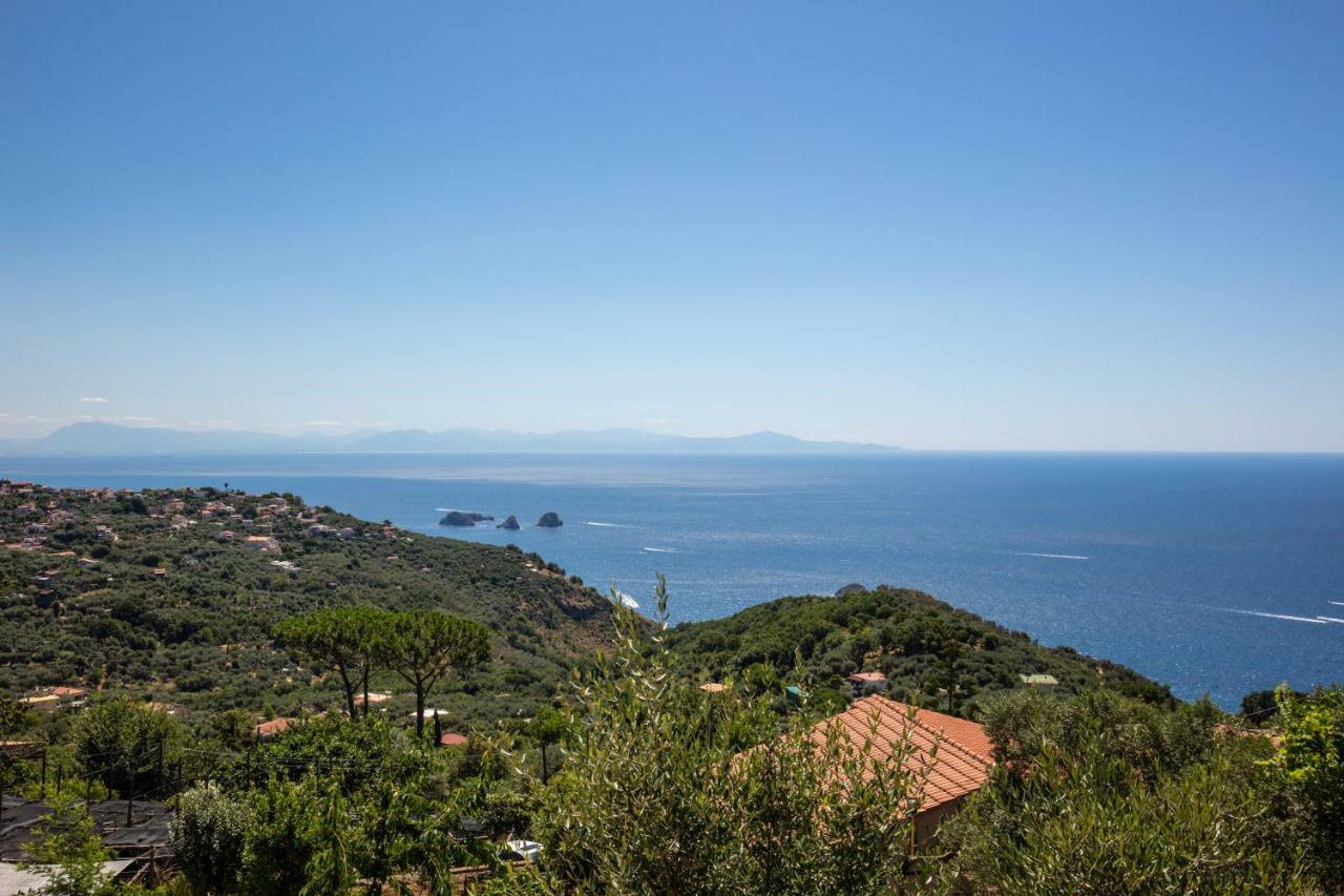 Geca'S House - Panoramic Sea View Studio Massa Lubrense Exterior foto